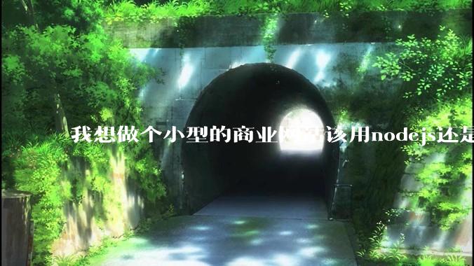 我想做个小型的商业网站该用nodejs还是python做后端？