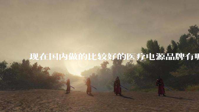 现在国内做的比较好的医疗电源品牌有哪些？