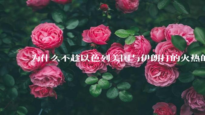 为什么不趁以色列美国与伊朗打的火热的时机收复台湾呢？