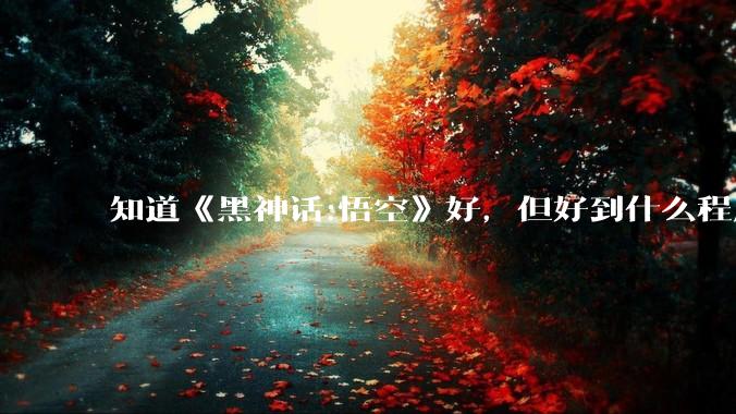 知道《黑神话:悟空》好，但好到什么程度？