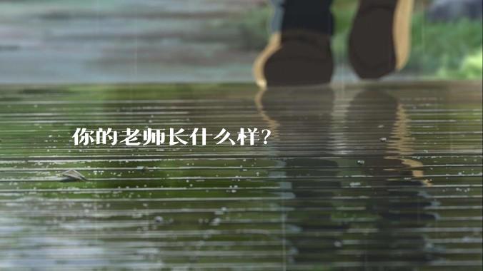 你的老师长什么样？